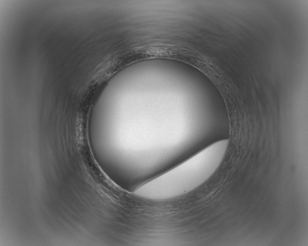 X0000057560696200509160811