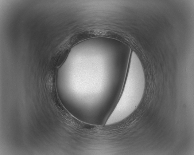 X0000057560697200509160810
