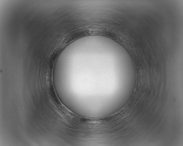 X0000057560698200509160810