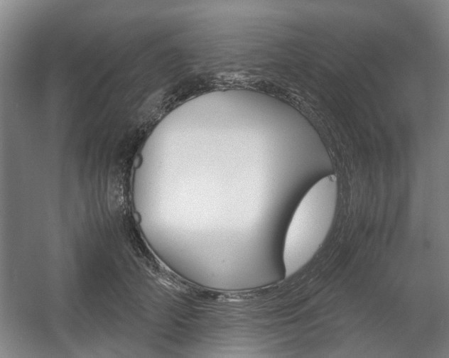 X0000057560706200509160810