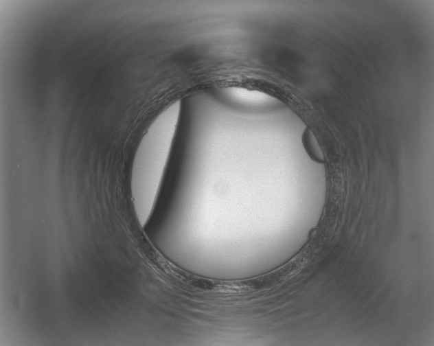 X0000057560707200509160810