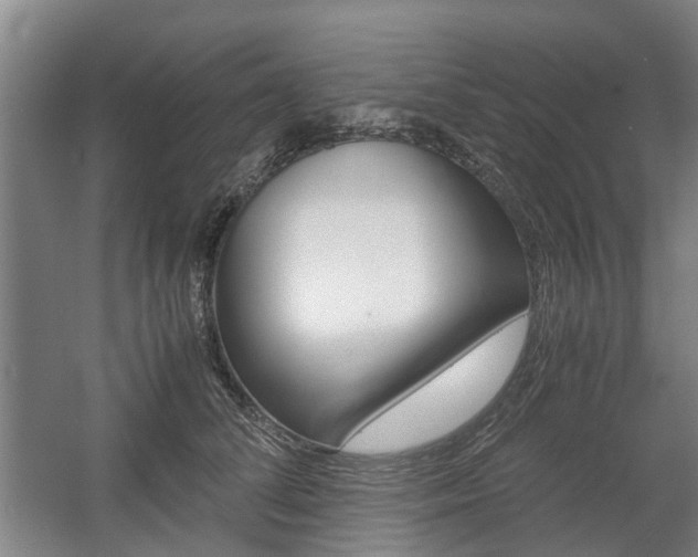 X0000057560708200509160810