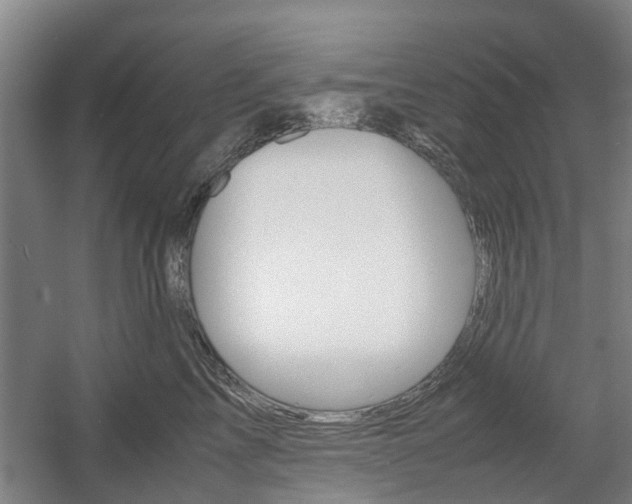 X0000057560713200509160810