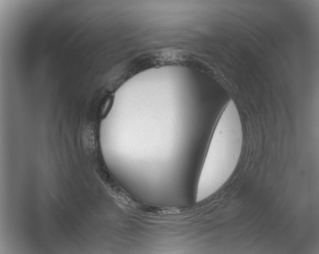 X0000057560715200509160810