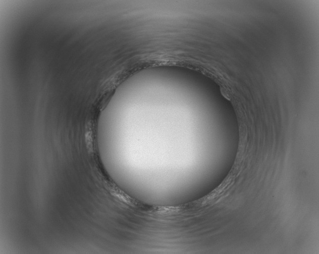 X0000057560720200509160810