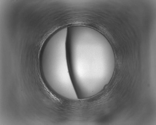 X0000057560721200509160809
