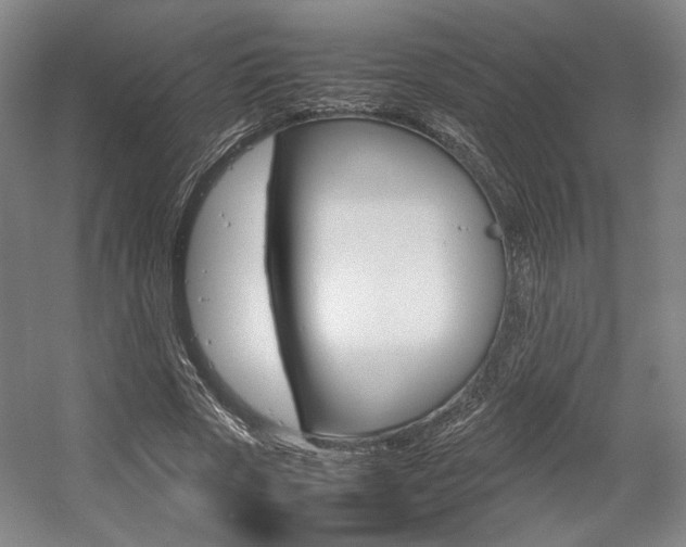 X0000057560729200509160809