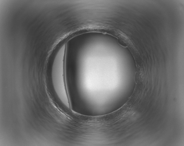 X0000057560732200509160809