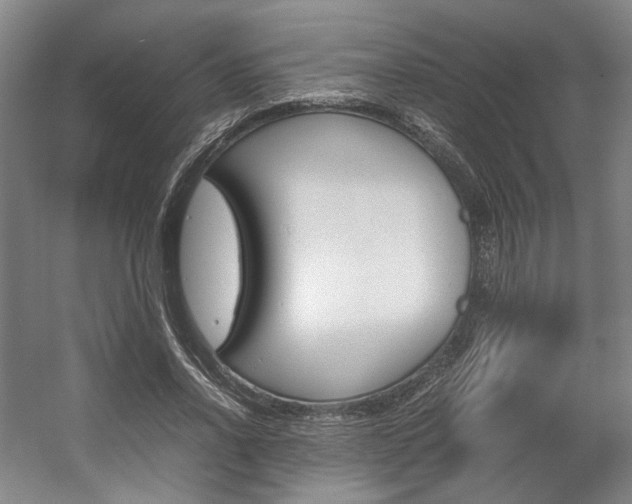 X0000057560734200509160810