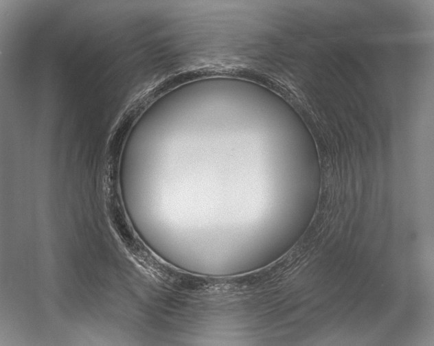 X0000057560736200509160810