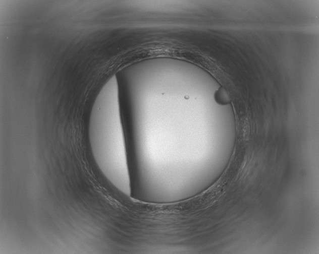 X0000057560737200509160810