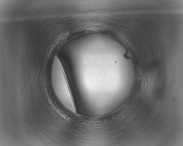 X0000057560738200509160810