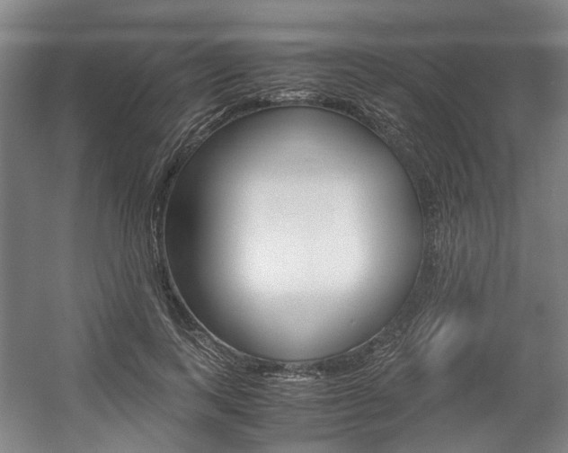 X0000057560743200509160810
