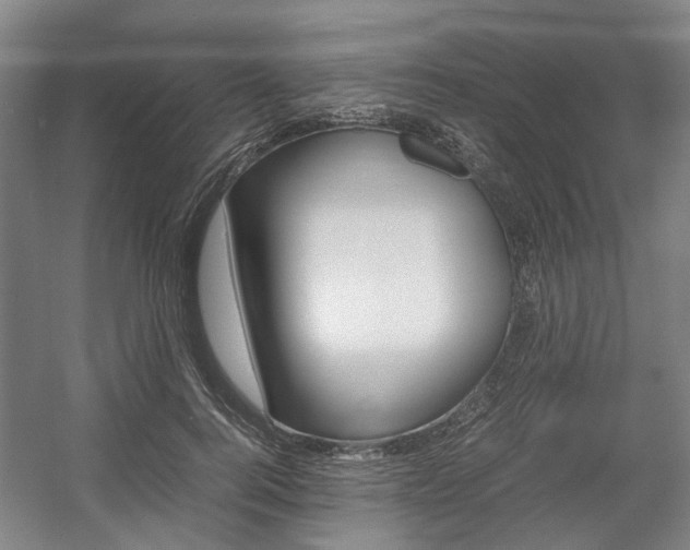 X0000057560744200509160810