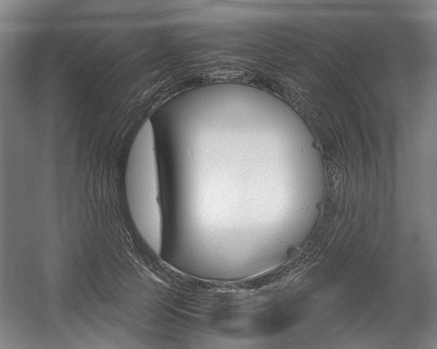 X0000057560745200509160810