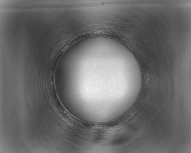 X0000057560746200509160810