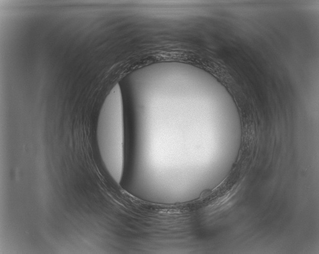X0000057560749200509160810