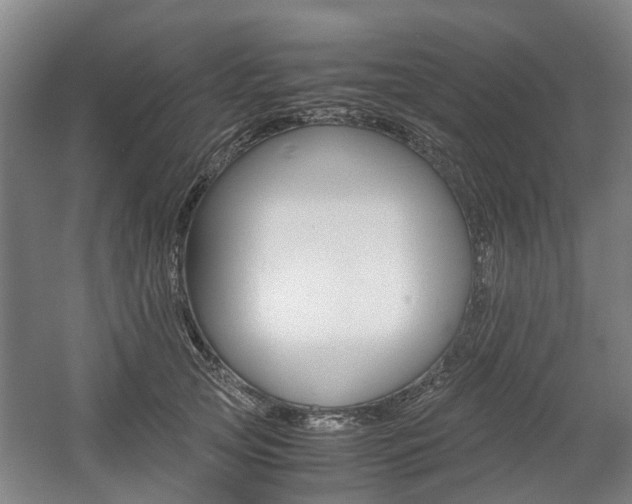 X0000057560753200509160810