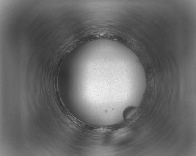 X0000057560754200509160810
