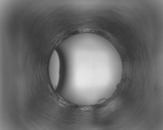 X0000057560761200509160810