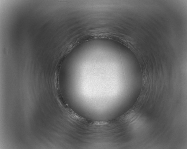 X0000057560767200509160810