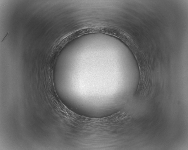 X0000057560773200509160809