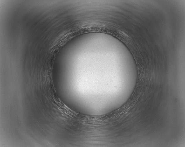 X0000057560774200509160809