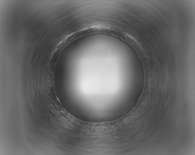 X0000057560776200509160809