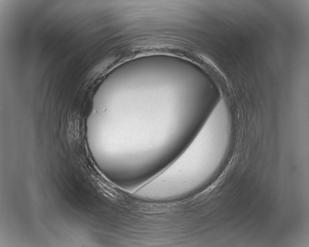 X0000057560777200509160809