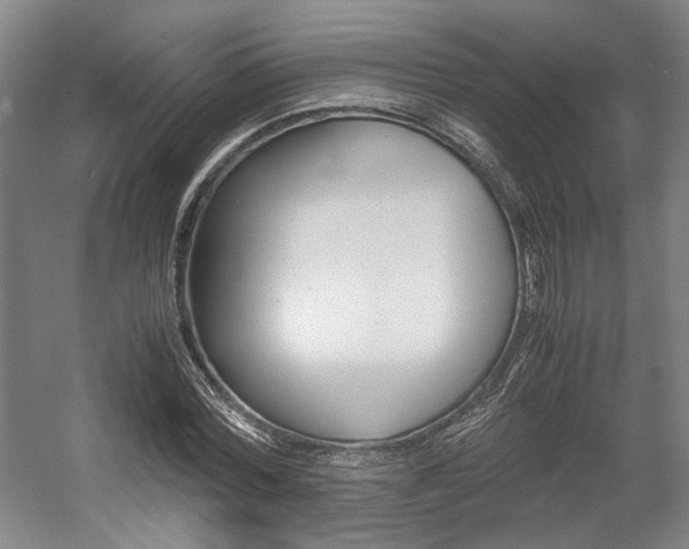 X0000057560780200509160809