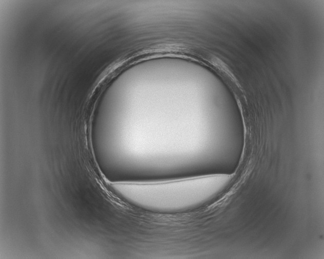 X0000057560781200509160809
