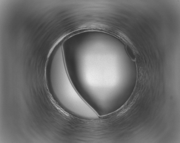 X0000057560788200509160809