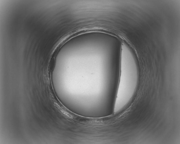 X0000057560789200509160809