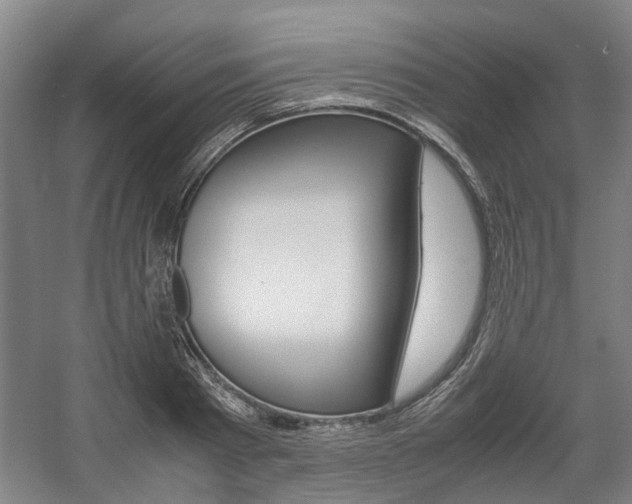 X0000057560793200509160809