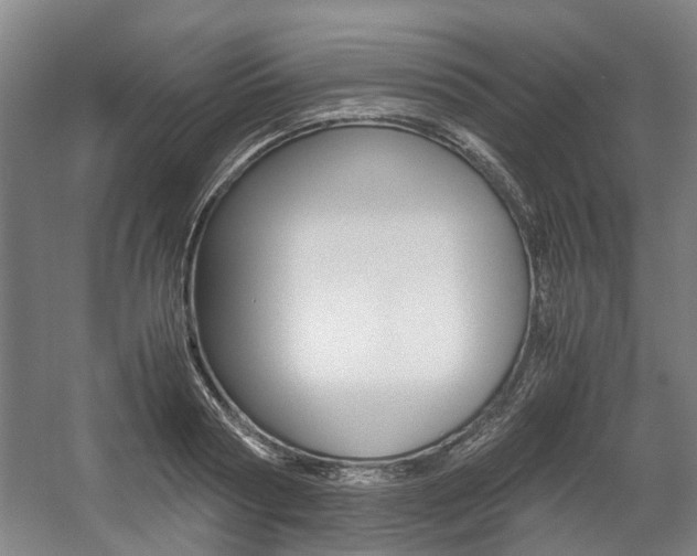 X0000057560794200509160809
