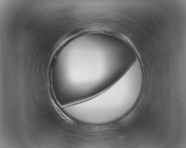 X0000057560795200509160809