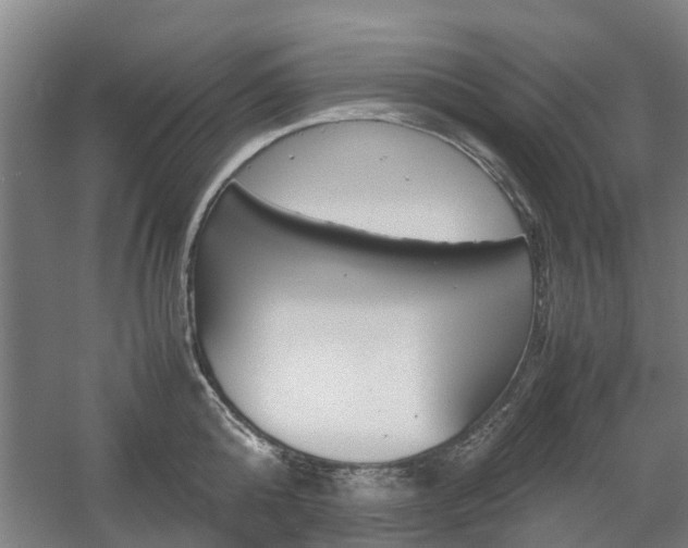 X0000057560808200509160809