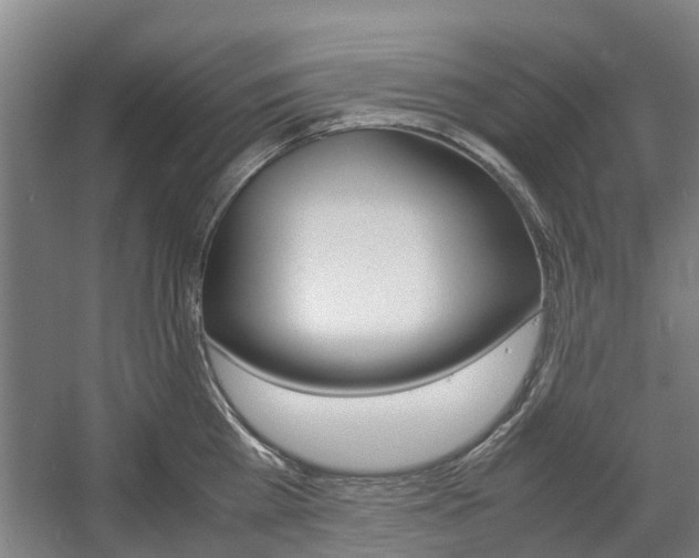 X0000057560809200509160809