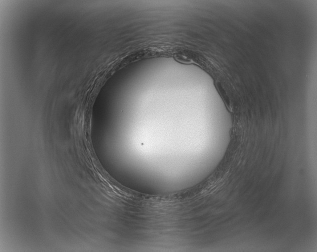 X0000057560817200509160808