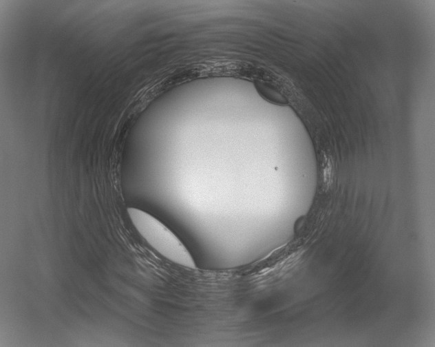 X0000057560819200509160808