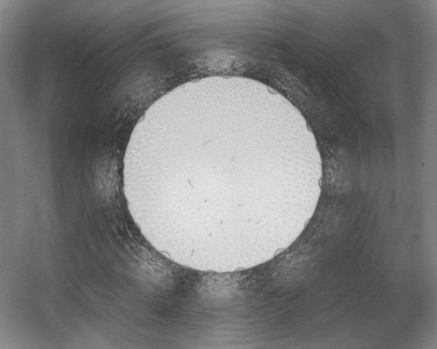 X0000057560820200509160808