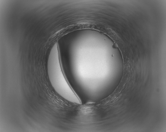X0000057560821200509160808