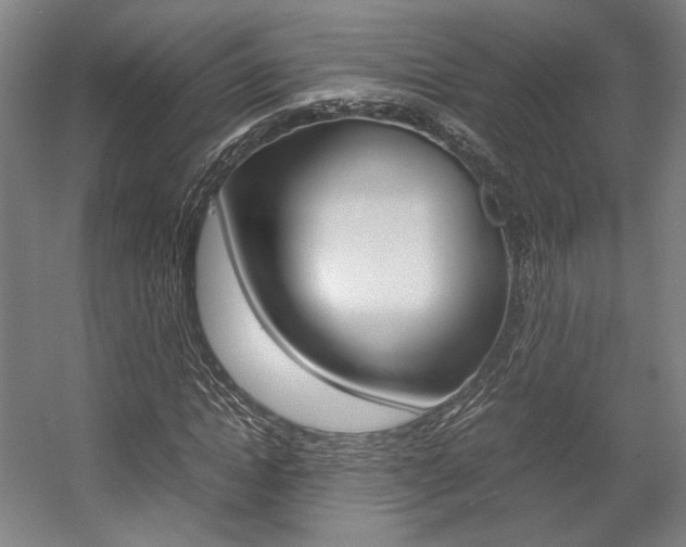 X0000057560822200509160808