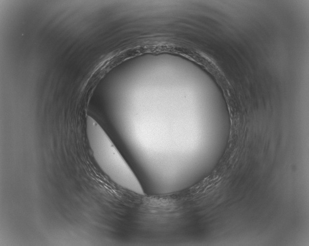 X0000057560823200509160808