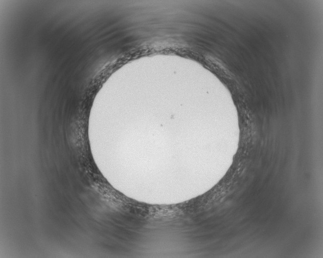 X0000057560824200509160808
