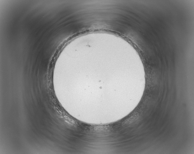 X0000057560832200509160808