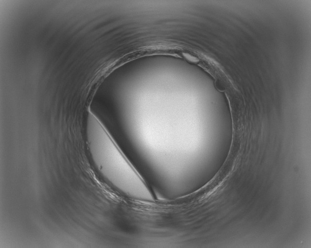 X0000057560833200509160808