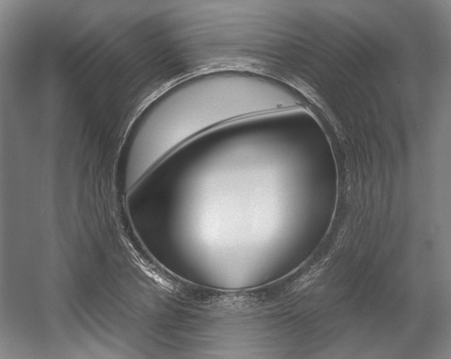 X0000057560834200509160808