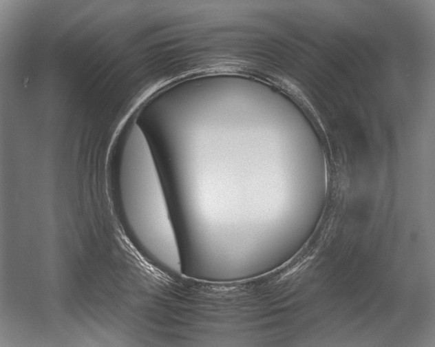 X0000057560835200509160808