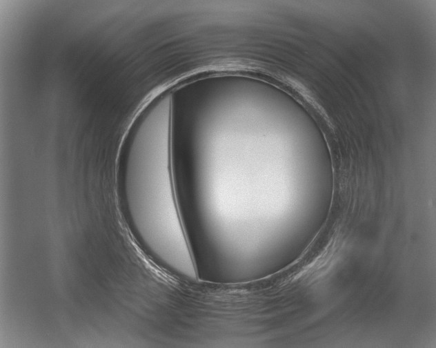 X0000057560837200509160808